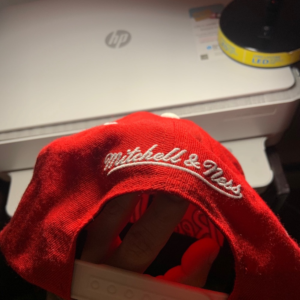 Red wings snap back - Picture 3 of 4